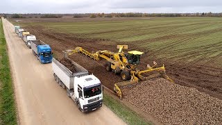 Sugar Beet Harvest | Season 2017 [www.plakys.lt]