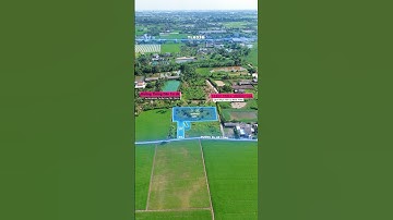 1113m2 thổ cư và lúa của xã lạc tấn huyện tân trụ , long an . Đẹp lắm mọi người ơi