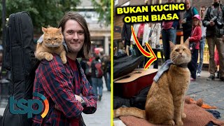 Kucing Oren Nyelamatin Hidup Pecandu Narkoba? Begini Kisah Lengkapnya