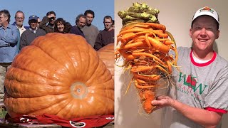 Largest Vegetables In The World As Per World Record
