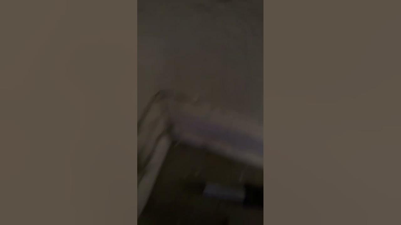 Dryer smells like fried fish when running the dryer YouTube