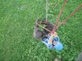 Tree Climbing: Ascending with Doubled Rope Technique