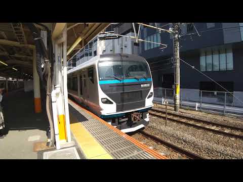 特急踊り子13号伊豆急下田・修善寺行 E257系2000番台NA-03+2500番台NC-33編成 小田原駅発車