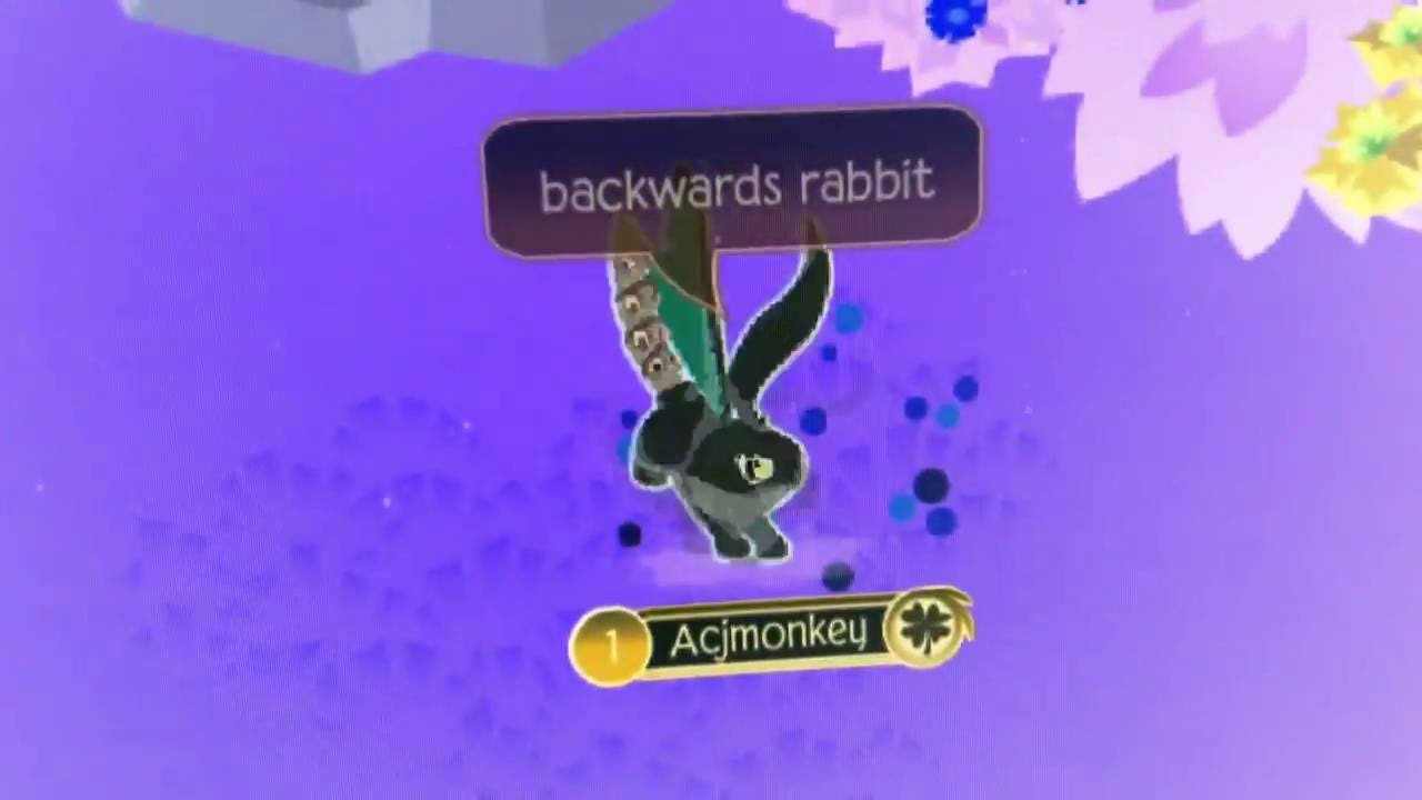 Backwards rabbit AJMV by: ACJmonkey - YouTube