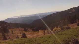 Slope soaring the flitetest simple soarer