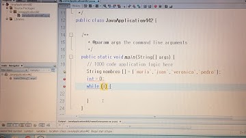 Java netbeans vector trece con ciclo while string #32