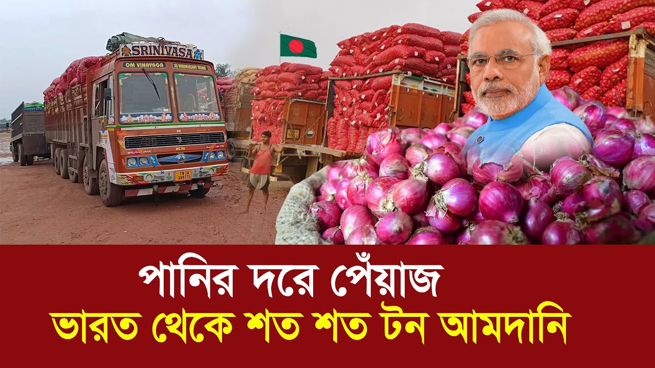 ভারত থেকে শত শত টন পেঁয়াজ আমদানি !! বাংলাদেশে পানির দরে বিক্রি !! Onion Import - India