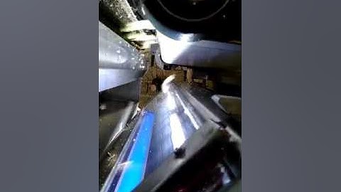 Angelon belt type garlic color sorting machine/jasmine@ajlong.cn