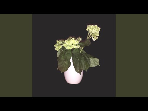 Beginners - Sjowgren