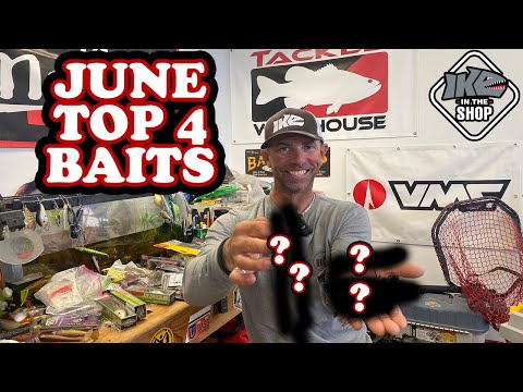 Top 4 June Baits: Deep Dive into Summer Bass Fishing