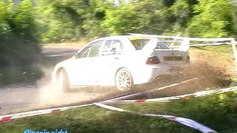 DRT 2009 Vigántpetend by Pingvin