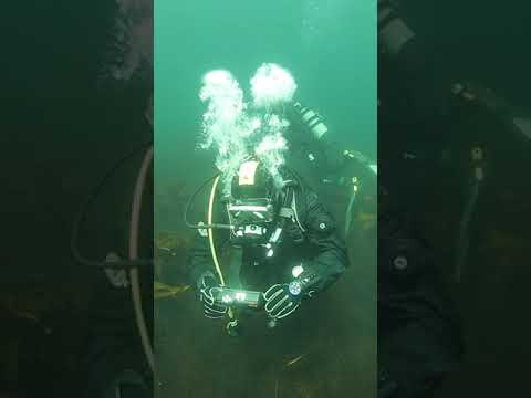 Подводные тайны сурового Севера. Баренцево море.