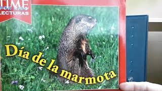 cuentos infantiles archivos - La Marmota