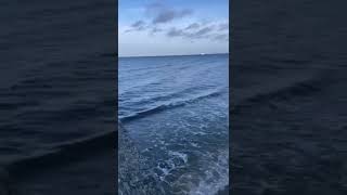 Море Шум Волн 🌊 Релакс The Sea The Sound Of Waves 🌊 Relaxation #Shorts