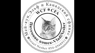 GMqHxhn8X4gCsBoMAKIlYBVLvFc4bmdjAAAF