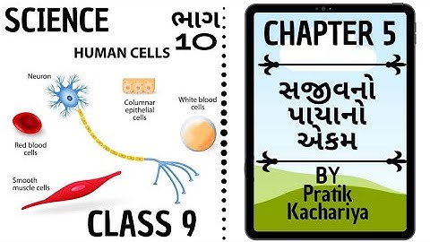 ભાગ 10 ॥ વિજ્ઞાન ॥ સજીવનો પાયાનો એકમ ॥Science ॥ Std 9 ॥ Chapter 5 ॥ Fundamental Unit Of Life ॥ NCERT