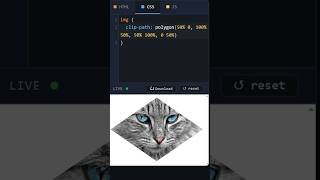 HTML Image Polygon using CSS Dark #htmltutorial #csstutorial