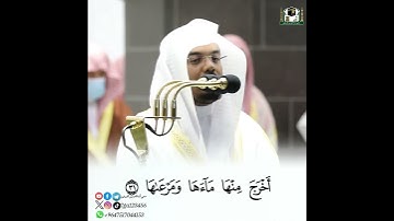 #سورة_ النازعات {أَأَنتُمْ أَشَدُّ خَلْقًا أَمِ السَّمَاءُ  بَنَاهَا}  #الشيخ_ياسر_الدوسري