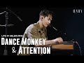 Henry dance monkey  attention live in melbourne