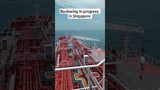 Bunkering In progress at Singapore #oil #bunker #viral #shorts #bangladesh #short #reels