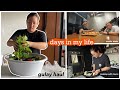 DAYS IN MY LIFE (GULAY HAUL, COOKING PICADILLO) VLOG | Joyce Ching