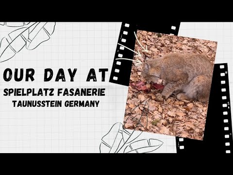 Our Trip to The Zoo |Spielplatz Fasanerie | Taunusstein Germany