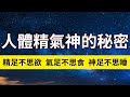 人體精氣神的秘密！ Mp3 Song