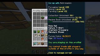 Hypixel Skyblock Iron man stream 1