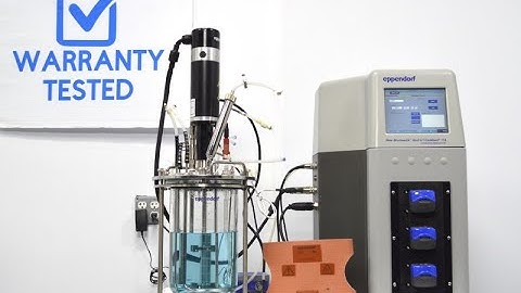 Eppendorf New Brunswick BioFlo/CelliGen 115 Benchtop Fermentor/Bioreactor  [BOSTONIND] - 56239