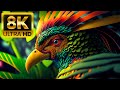 8kr 60fps dolby vision avec des sons animaux color dynamique