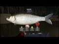Russian Fishing 4 - Chub spinning comp on Winding - Winning fish!