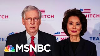 Ethics Probe Made Criminal Referral For Elain Chao; Not Unique Among Trump Cabinet | Rachel Maddow