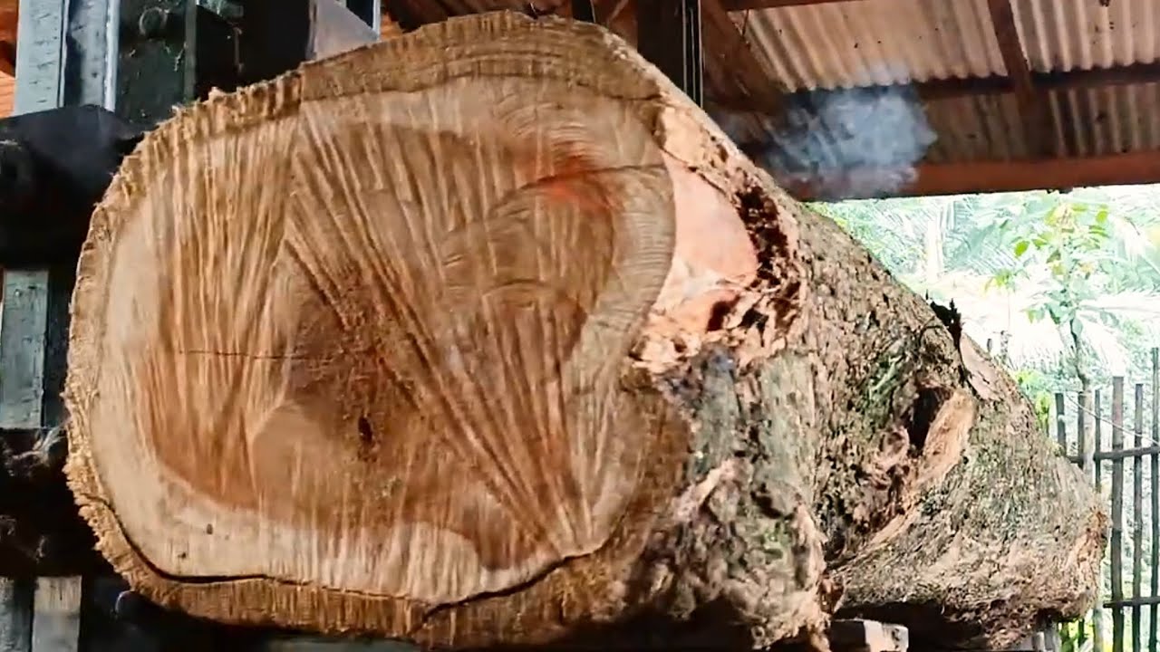 Using a method that is decades old || Beautiful wood sawing process 