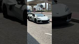 Dubai’s Best Tourist Attractions | Palm Jumeirah, Dubai Mall & Burj Khalifa Views #carsdubai
