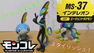 モンコレ マジ最高なシルエット それ故 難あり Ms 37 インテレオン レビュー Youtube