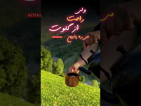 حال آدم مهمه نه مال آدم