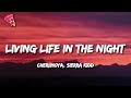 Cheriimoya sierra kidd  living life in the night