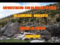 APURÍMAC /ANDAHUAYLAS / PAMPACHIRI /BOSQUE DE PIEDRAS / REFORESTACION EN LLAMCAMA - HUACCOTO