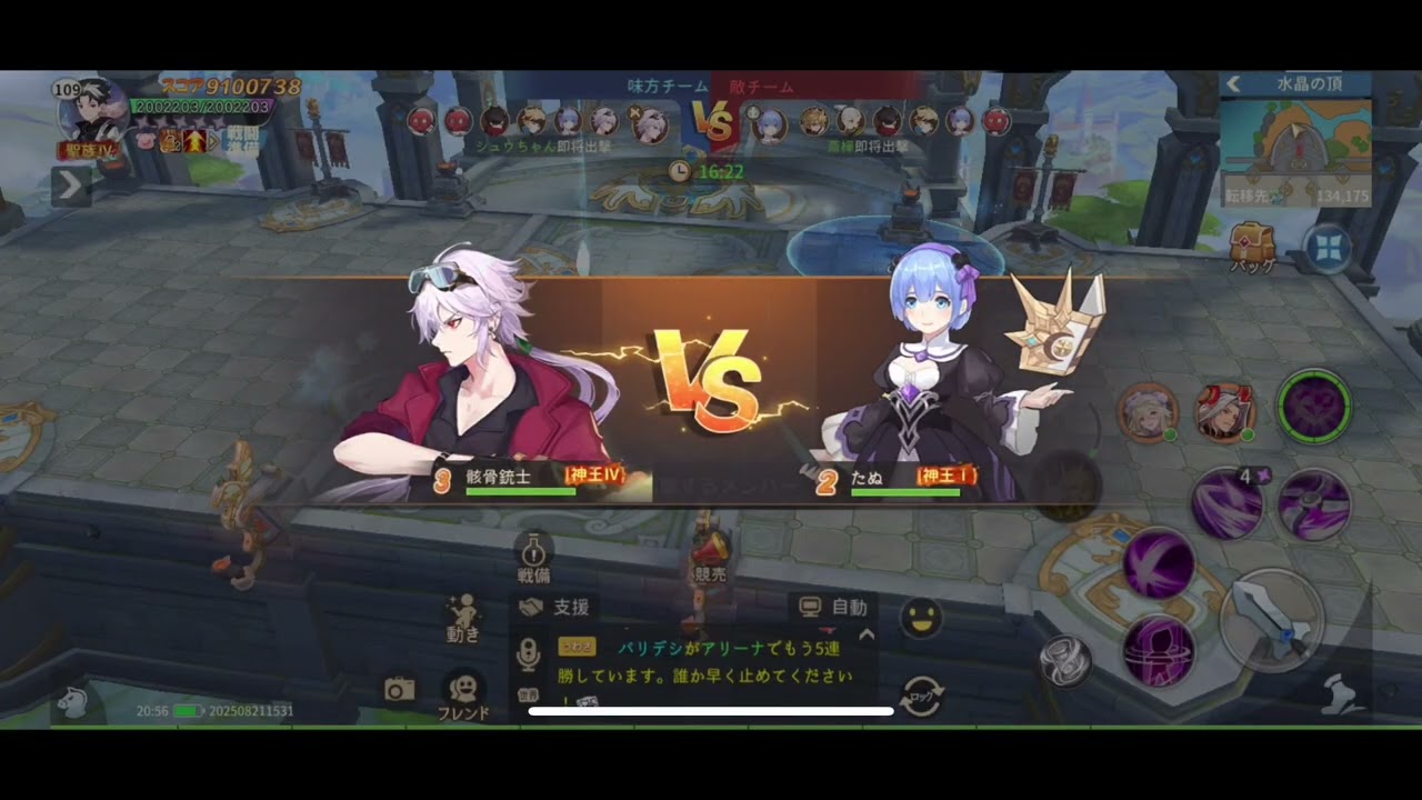 空の勇者たち ギルド戦vs Gripii 11/29