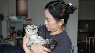 KU PUNYA KUCING GEMUK!