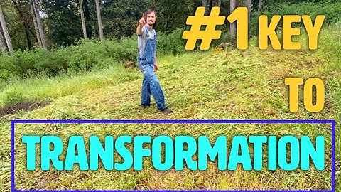 Chop and Drop PERMACULTURE TRANSFORMATION Update