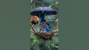 سوره مبارکه روم آیه ۲۱