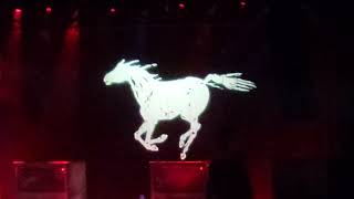 Neil Young & Crazy Horse Sedan Delivery live Bristow Va 5 11 2024