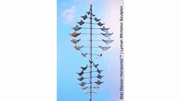 Star Dancer Horizontal Wind Sculpture in wide screen format (video 1)