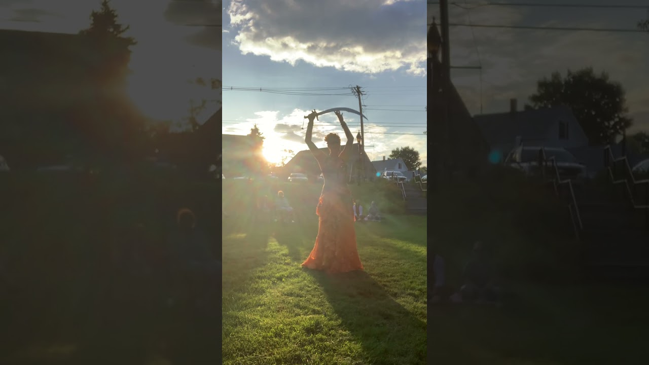 Stormbirds in the Park