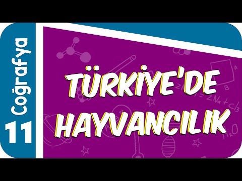 11. Sınıf Coğrafya: Türkiye'de Hayvancılık #2022