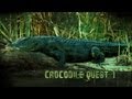 Divers face crocodiles  claustrophobia croc quest ep 1