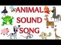 Animal sound song