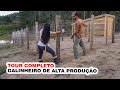 TOUR NO GALINHEIRO para Criação de Galinhas Caipiras em PIQUETES │ Projeto Galinheiro EP Final