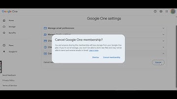 Cancel Google AI Pro Gemini One Google Subscription